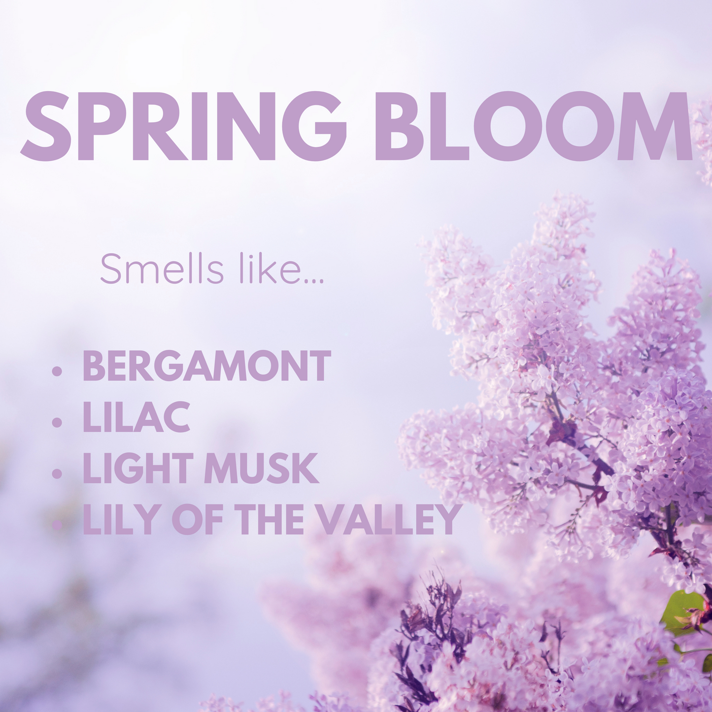 SPRING BLOOM